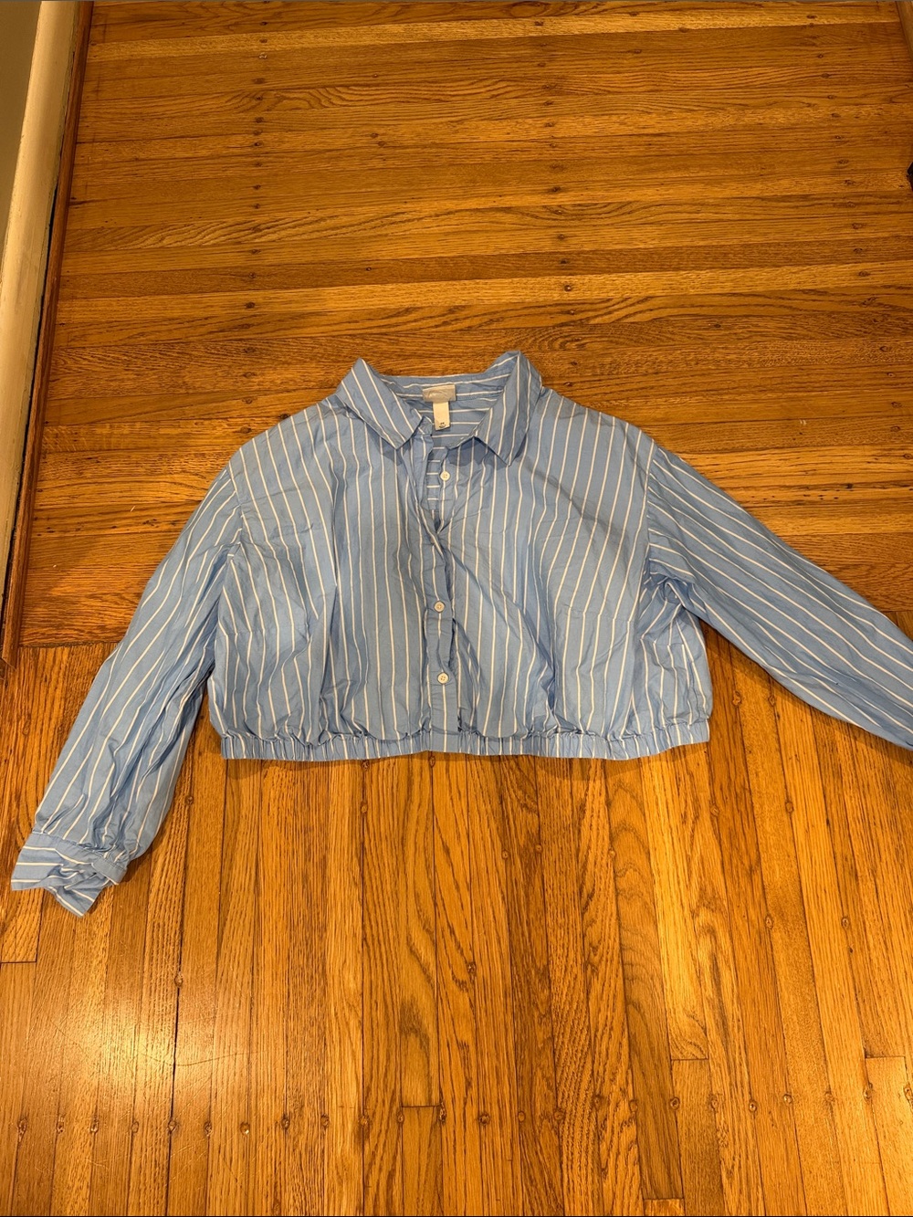 Women’s Blue Striped Cropped Button-Front Shirt
